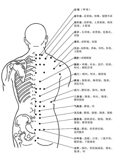 背後穴位圖|背部穴道圖大全，人體背部穴道按摩指壓、酸痛反射穴位詳解